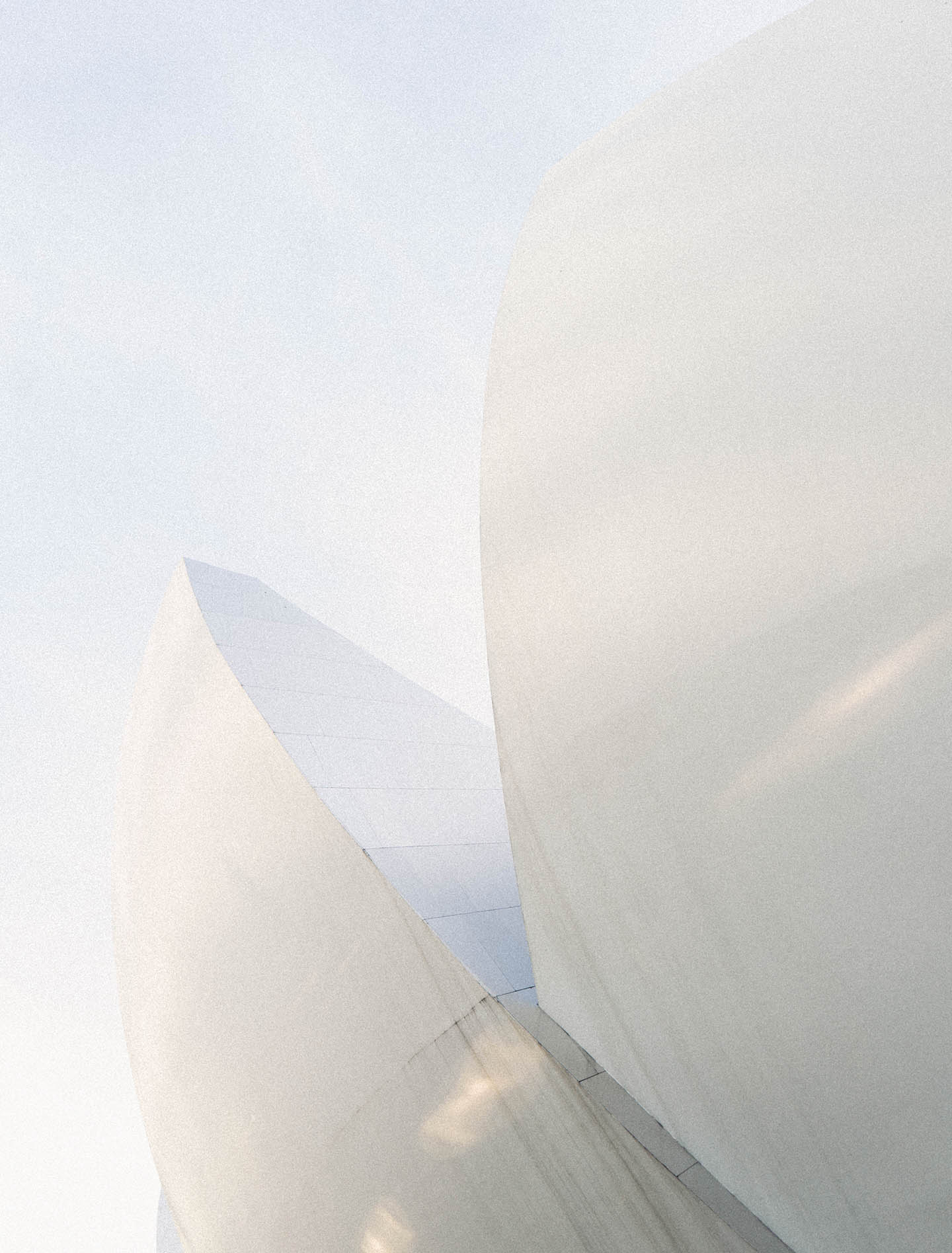 fiftyfifty_2-1-copie